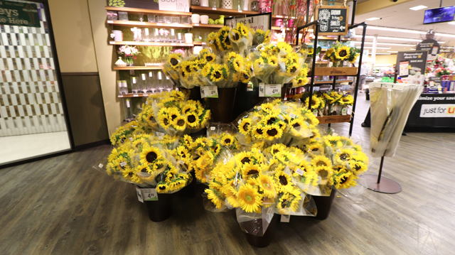 VONS（ボンズ） 1