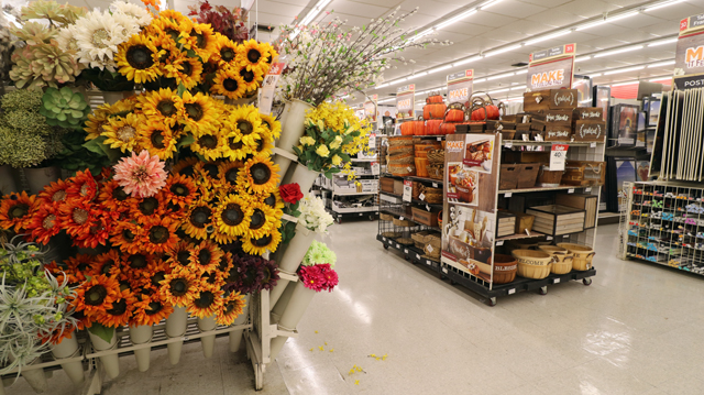 Michaels （マイケルズ） 4